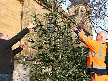 Zapfendorf hat seinen Christbaum wieder, wenn auch eine kleinere Version: Es sind die Reste der umgesägten Tanne vor der Kirche. Bernd Eichhorn (links) und Georg Wisocki bringen die Lichter an.  Foto: Sebastian Schanz