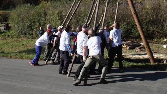 ... bis der Baum steht.