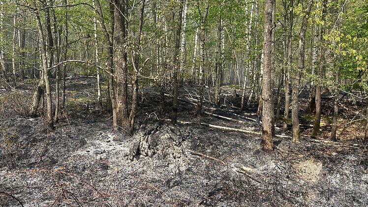 Waldbrand auf dem Bocksberg: Unzug&auml;ngliches Gel&auml;nde erschwert L&ouml;scharbeiten