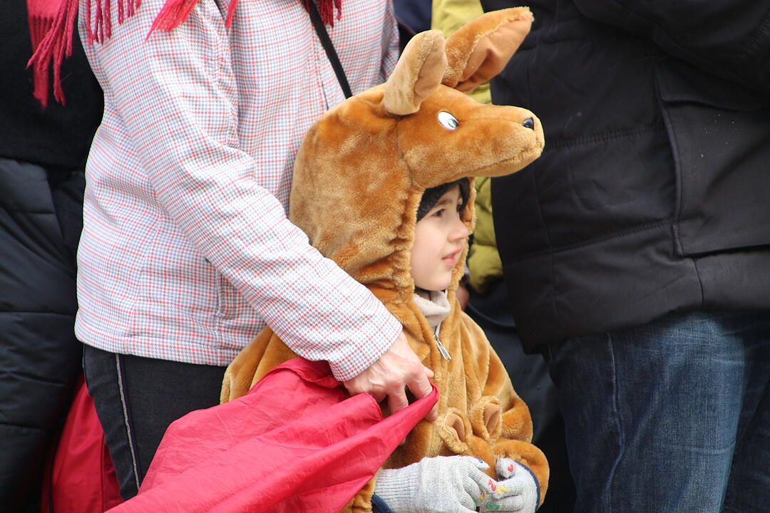 Kreisfaschingsumzug 2020