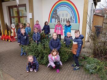 Mit Elan und Freude dabei waren die Kinder bei der Entsorgung von ausgedienten Weihnachtsbäumen. Foto: Philipp Bauernschubert