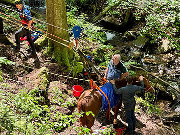 Gräfendorf: Reiter mit Pferd in Schlucht gestürzt - 60 Einsatzkräfte bei schwieriger Rettung