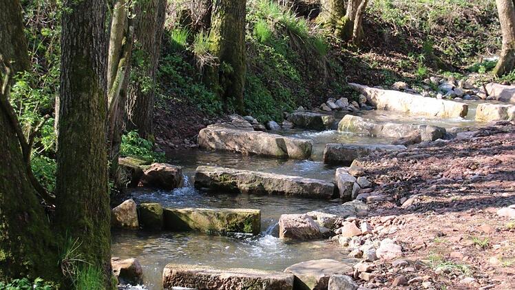 Diese Fischtreppe ist neu. Sie hat neun Stufen. Foto: Kathrin Kupka-Hahn