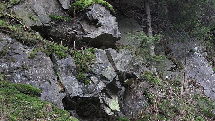 Die Felsnase  Foto: Friedwald Schedel