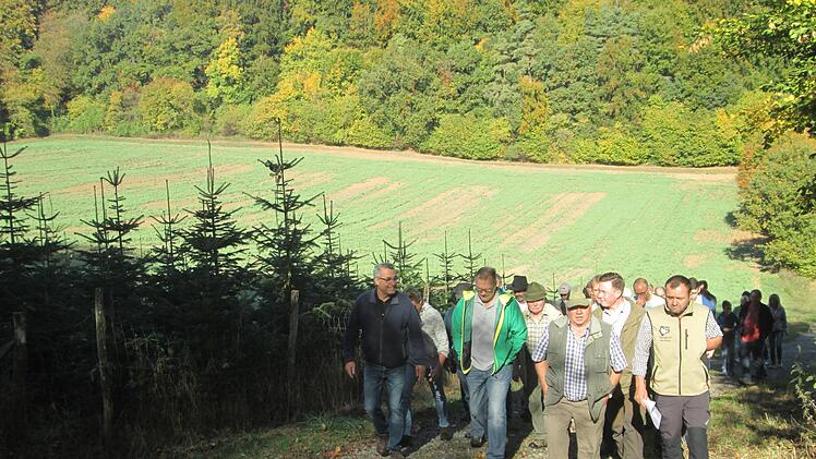 Ausgleichsflächen für Baugebiete ergeben sich im Fuchsstädter Wald an der "Hölzung"  unterhalb des "Märchenwalds. Foto: Winfried Ehling