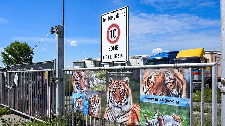 Pfleger stirbt nach Tigerangriff nahe Leipzig &ndash; Ermittlungen