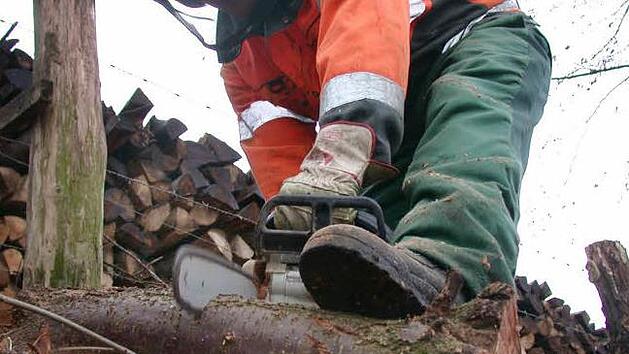 Bei Waldarbeiten im Schweinfurter H&ouml;llental wurden am sp&auml;ten Mittwochvormittag zwei Forstwirte zum Teil schwer verletzt.  Symbolfoto: J&ouml;rg Taron/dpa