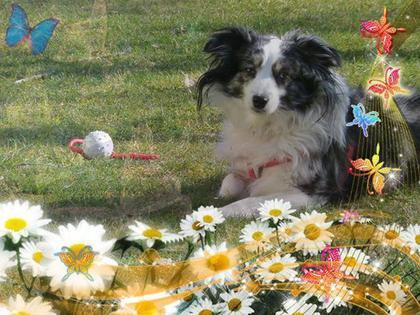 Foto: Sabine Paschos