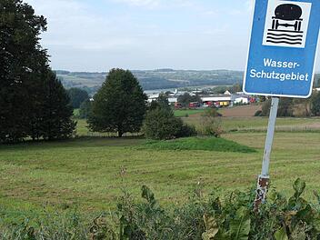 Soll der gemeindeeigene Brunnen "Pressecklein" erhalten bleiben? Über diese Frage muss der Untersteinacher Gemeinderat demnächst entscheiden.Peter Müller