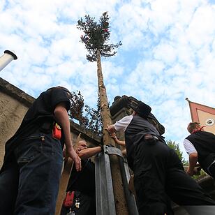 Sandkerwa 2015 - Kerwasbaum-Aufstellen