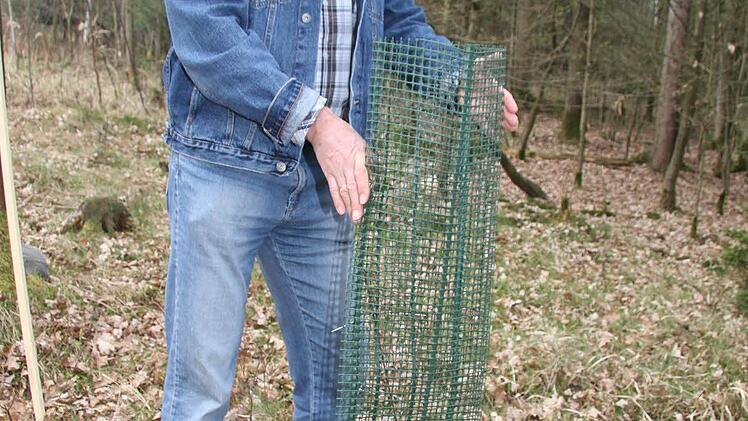 Hans Bayerlein aus Stadtsteinach wollte mit der Teilnahme am Bildungsprogramm sehen, ob er alles richtig gemacht hat. Inzwischen verwendet auch Bayerlein bei der Neuanpflanzung Schutzgitter, allerdings selbst gefertigte Schutzgitter.