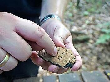 Aufwendig verzierte Keramikscherben gehören zu den häufigeren Funkstücken an der Milseburg. Fotos: Marion Eckert