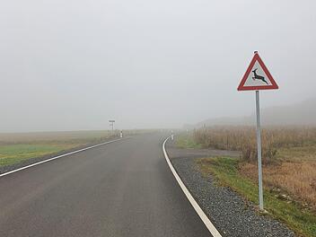 Schlechte Sicht und ein Wald in der N&auml;he: Auf Strecken wie diesen von Stadtsteinach nach Gumpersdorf sollten Autofahrer besonders vorsichtig sein. Foto: Archiv/Chrisrtine Fischer