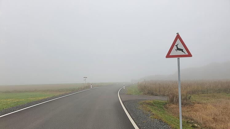Schlechte Sicht und ein Wald in der N&auml;he: Auf Strecken wie diesen von Stadtsteinach nach Gumpersdorf sollten Autofahrer besonders vorsichtig sein. Foto: Archiv/Chrisrtine Fischer