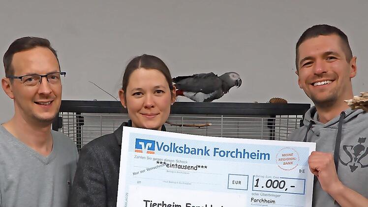 Matthias Hösch (l.), Initiator von „Forchheimshots“, und Nicole Dutschmann (Leiterin Marketing Stadtwerke Forchheim) übergeben die Spende unter den Augen von Graupapagei „Coco“ an Andreas Hellmann, Zweiter Vorsitzender des Tierheims Forchheim.
