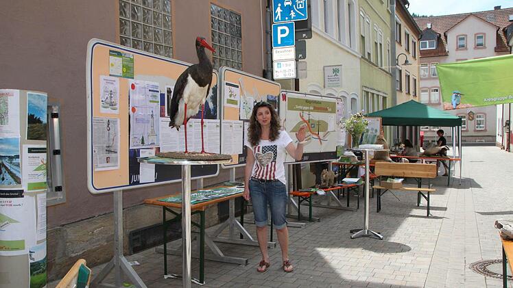 Impressionen vom Stadtfest Bad Brückenau 2015 Foto: Ulrike Müller