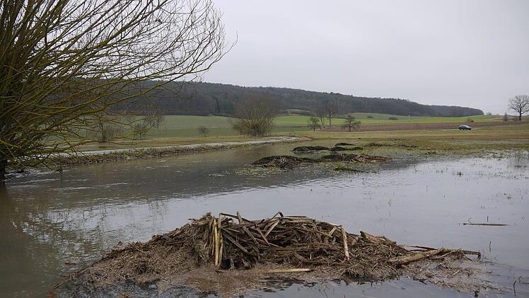 Nordlich von Lahm nach dem Hochwasser im Itzgrund