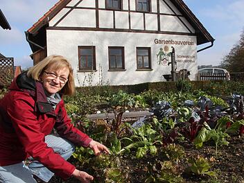 Der neugestaltete Vereinsgarten war einer der Gründe, warum der  Gartenbauverein Schwarzach-Schmeilsdorf mit dem Dorfökologiepreis des Bezirksverbands für Gartenbau und Landespflege ausgezeichnet wurde. Im Bild Vorsitzende Edith Wagner.  Foto: Jürgen Gärtner