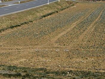 Symbolfoto: Dieter Radziej