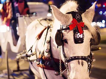 Hof: Musik, Kinder-Programm und Co. - das erwartet die Besucher des Weihnachtsmarkts