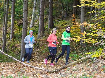 Ein Lauf-Genuss beim Frankenwaldlauf ist vor allem die Trail-Passage durch den Wald. Foto: Michael Kraus