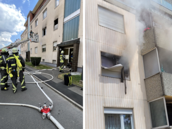 Lauf: Brand in Mehrfamilienhaus - Feuerwehr findet Hunde alleine in Wohnung