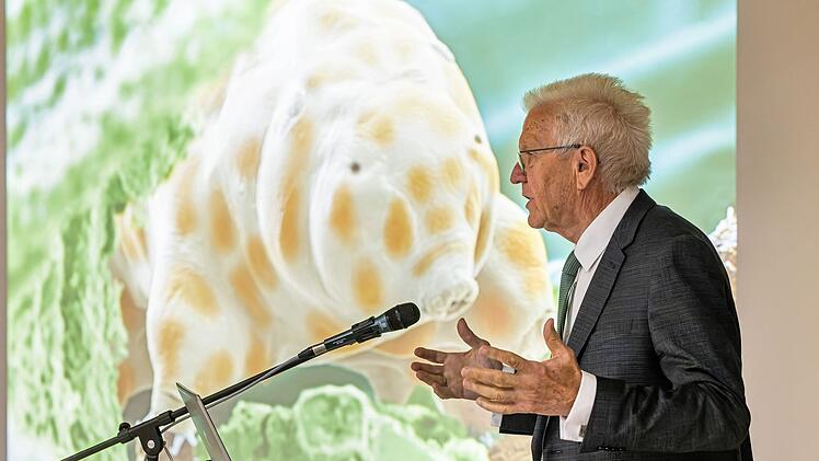 Vorstellung einer neuen Bärtierchen-Art