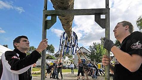 Das Baumaufstellen ging nicht ohne Probleme.  Foto: Roland Meister