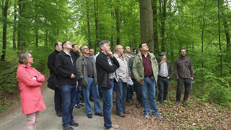 Exkursion in Oerlenbacher Gemeindewald mit Forstdirektor Wilhelm Schmalen und Förster Benjamin Winter. Foto: Stefan Geiger