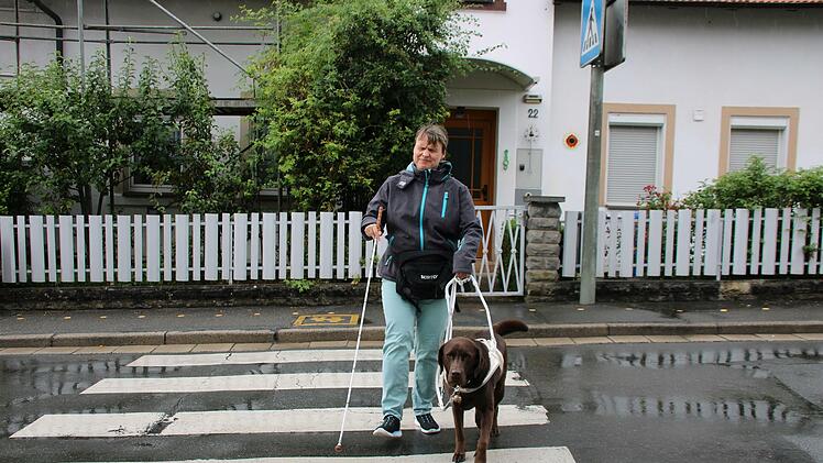 "Such Zebra!" lautet ein Hörzeichen. Labrador Lion reagiert auf das Signal, hält am Zebrastreifen und läuft dann mit Bianca Kellerer über die Straße.