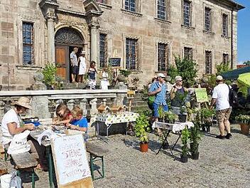 Das Schloss war in das Hoffest mit einbezogen. Foto: Pauline Lindner