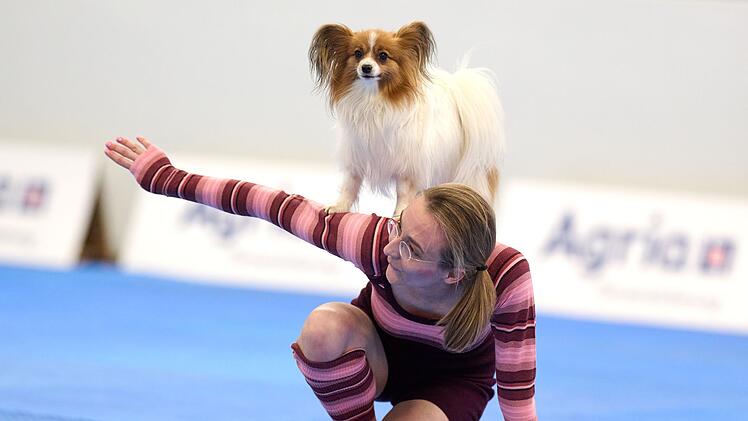 Meisterschaft im Dog Dancing auf Messe «Hund & Pferd»