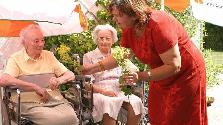 Gartentherapie 2006