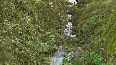 Dieser sonst so harmlose Bach brachte 15 Menschen den Tod.