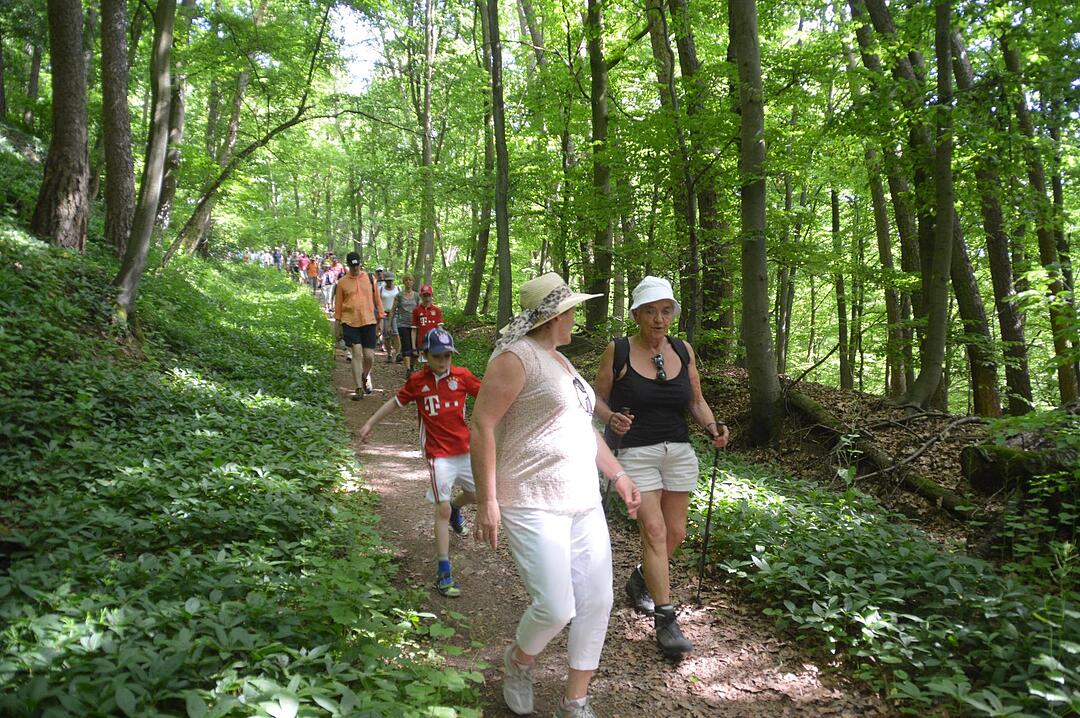 Landkreiswanderung 2017