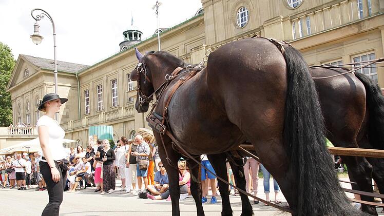 Rakoczy-FestzugFoto: Arkadius Guzy