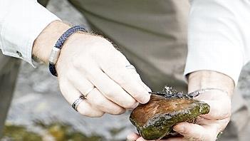 An Steinen findet der Angler Mücken.