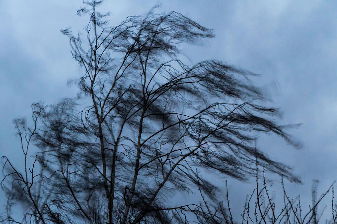 Fotos Konrad Thomann