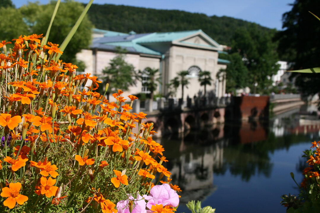 Rakoczy-Fest 2015 Bad Kissingen