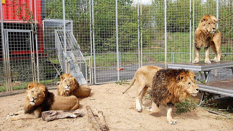 Foto: Sigismund von Dobschütz