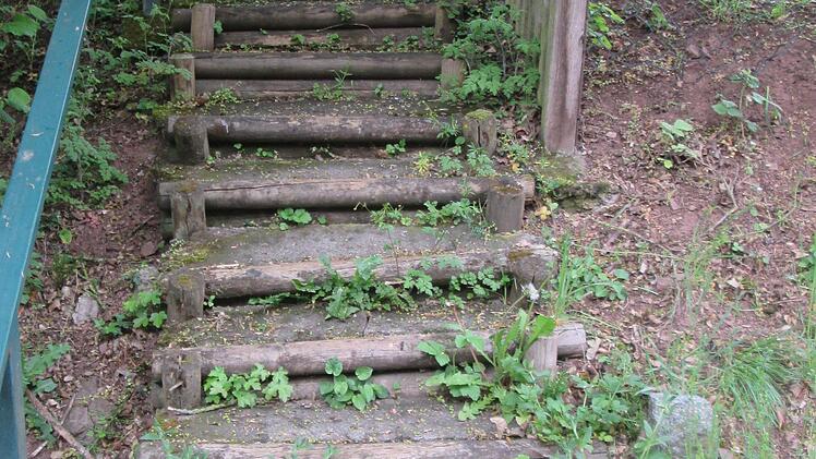 Der Treppenaufgang zur Burg in Trimberg ist marode und überwachsen. Der Bauhof soll hier Betonstufen einbauen.  Foto: Winfried Ehling