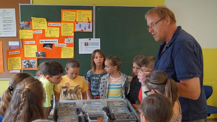 Foto: Manfred Mellenthin