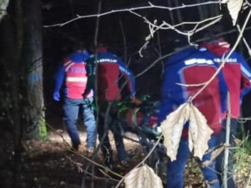 Bergwachteinsatz im Kreis Bamberg: Baum st&uuml;rzt im Wald auf Mann