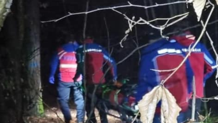 Frau verunglückt im Wald