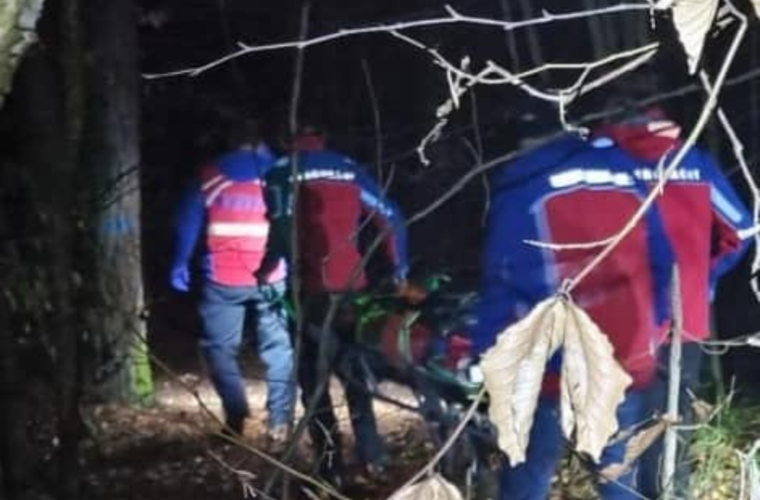 Bergwachteinsatz im Kreis Bamberg: Baum stürzt im Wald auf Mann