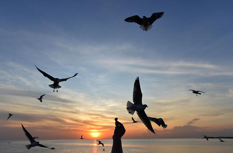 Sommerurlaub gefragt: Dertour meldet starkes Buchungsplus
