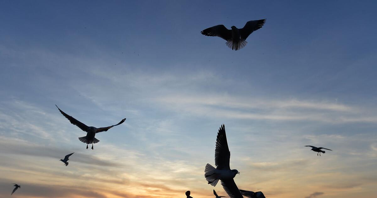 Sommerurlaub-gefragt-Dertour-meldet-starkes-Buchungsplus