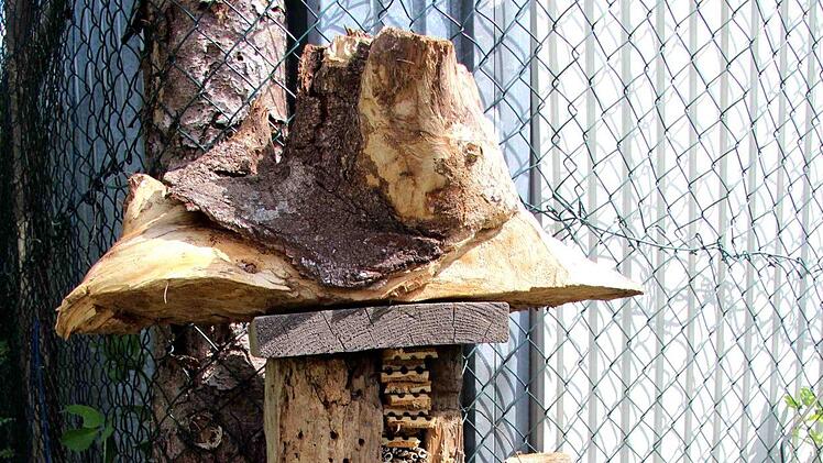 Foto: Richard Sänger