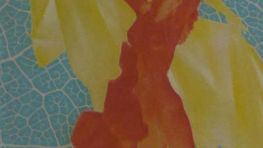 Foto: Pauline Lindner