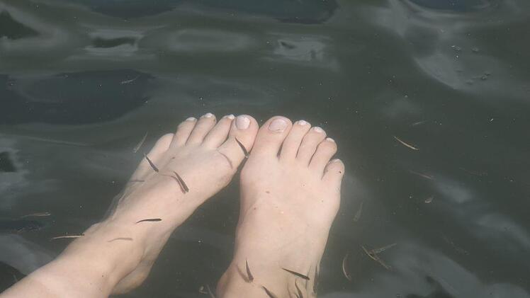 Foto: Barbara Herbst